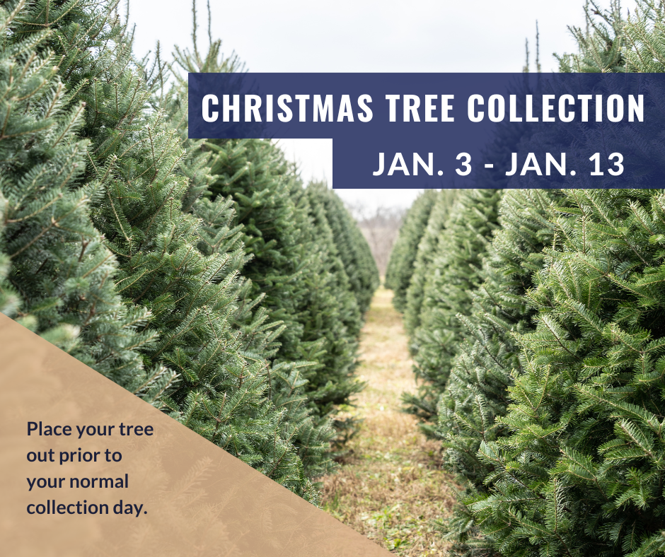 Christmas Tree Collection