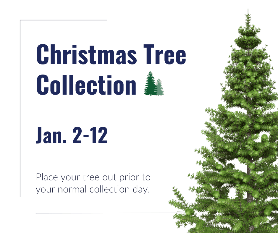 Christmas Tree Collection