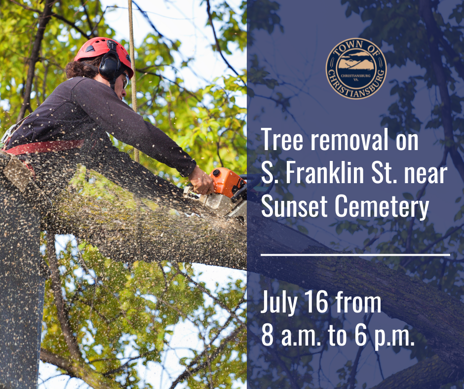Tree removal graphic for S. Franklin St. 