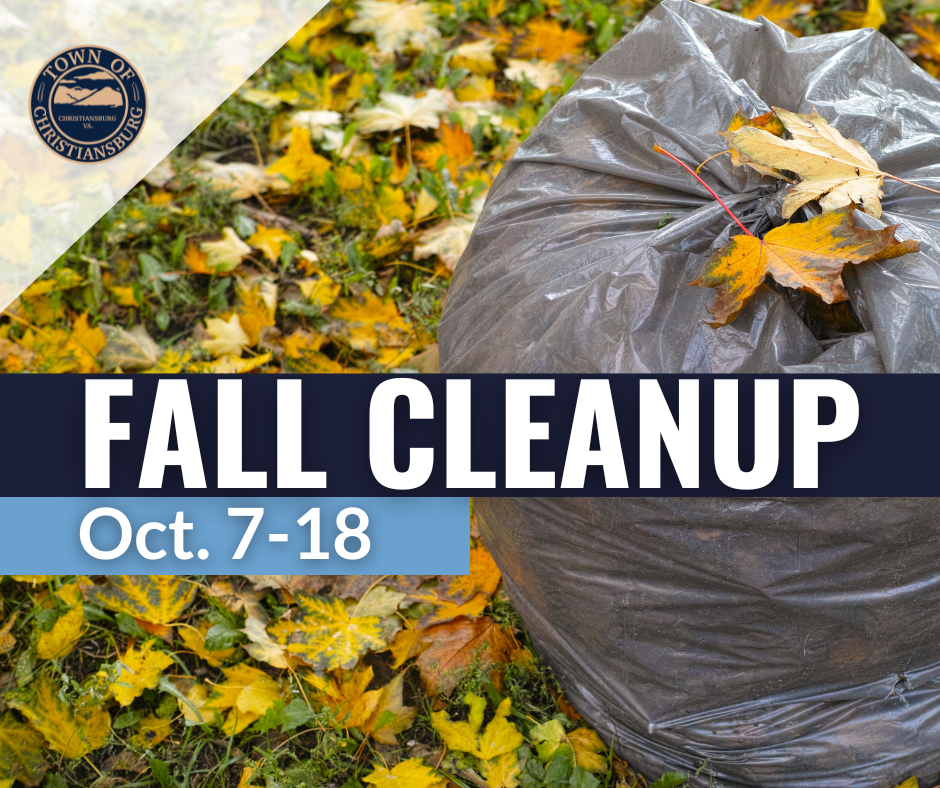 Fall Cleanup 2024