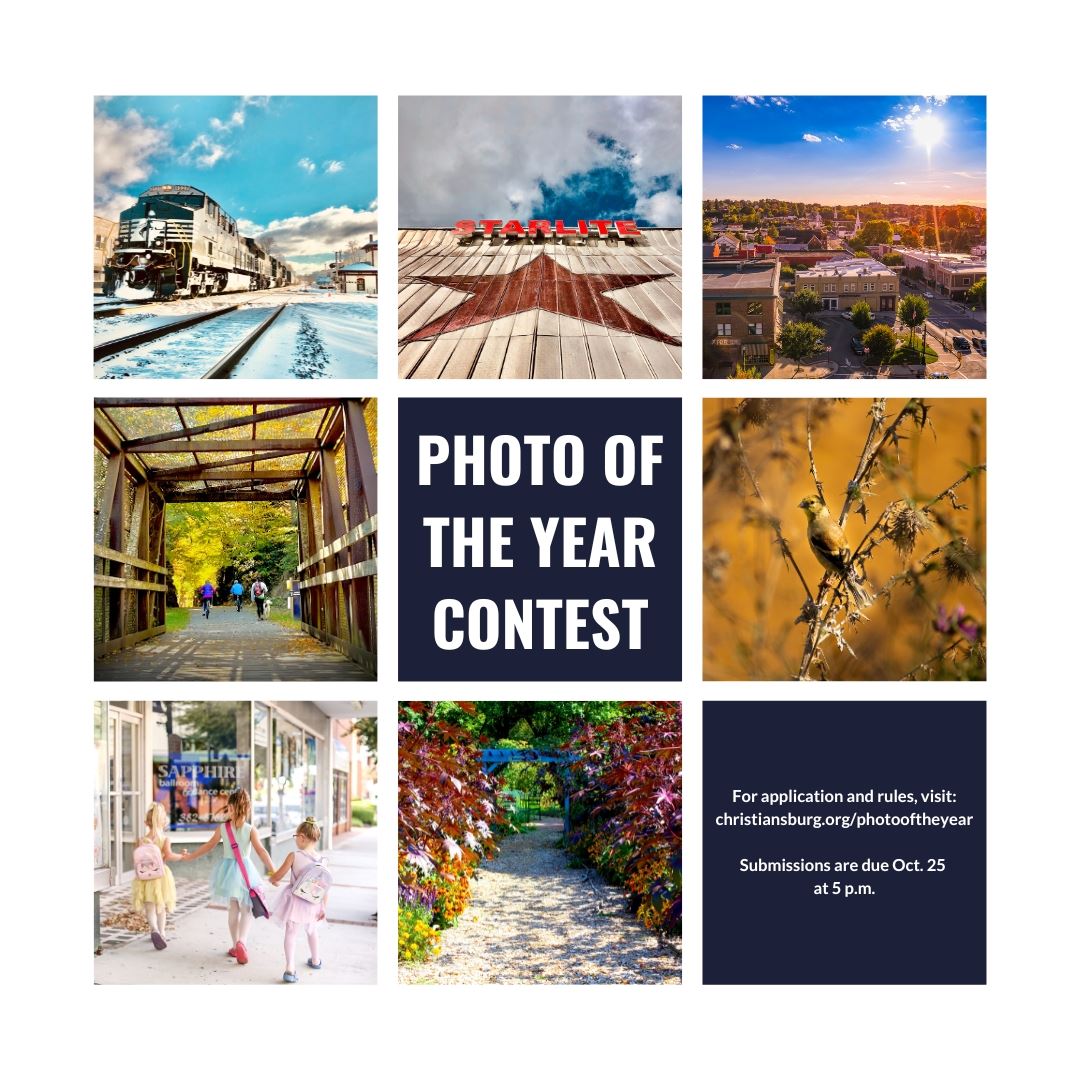 Photo of the Year 2024