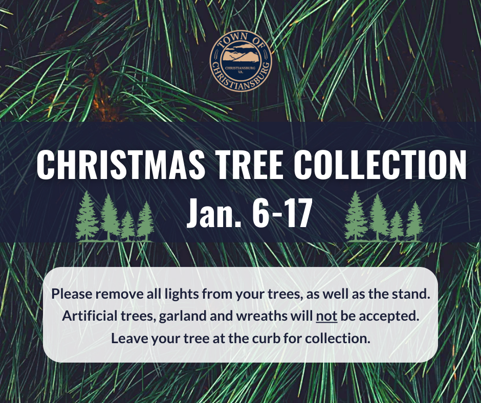 CHRISTMAS TREE COLLECTION 2025