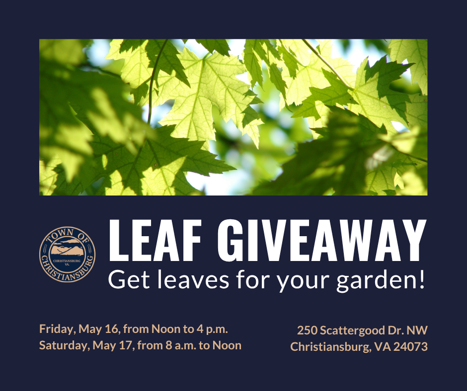 LEAF GIVEAWAY (2)