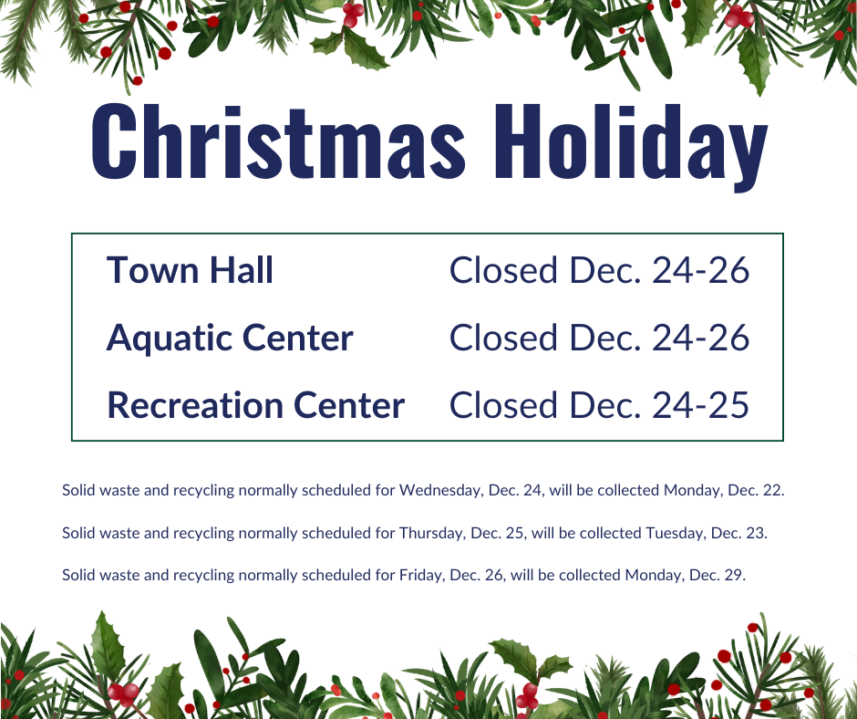 Christmas Holiday (3)